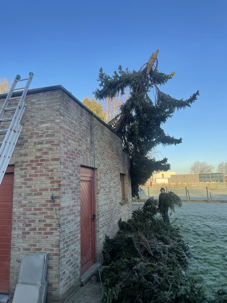 vellen boom wegens stormschade