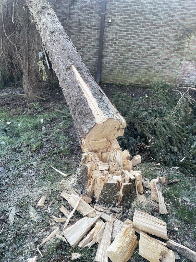vellen boom wegens stormschade