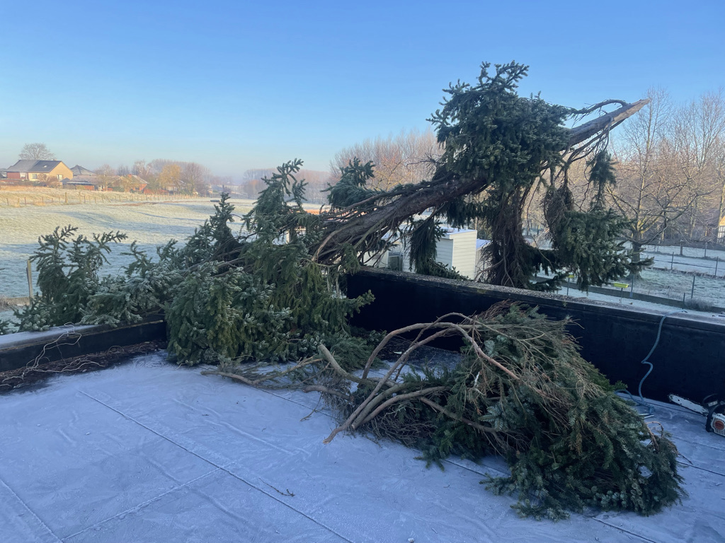 vellen boom wegens stormschade