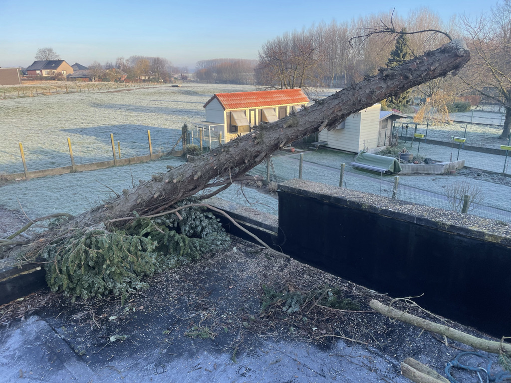 vellen boom wegens stormschade