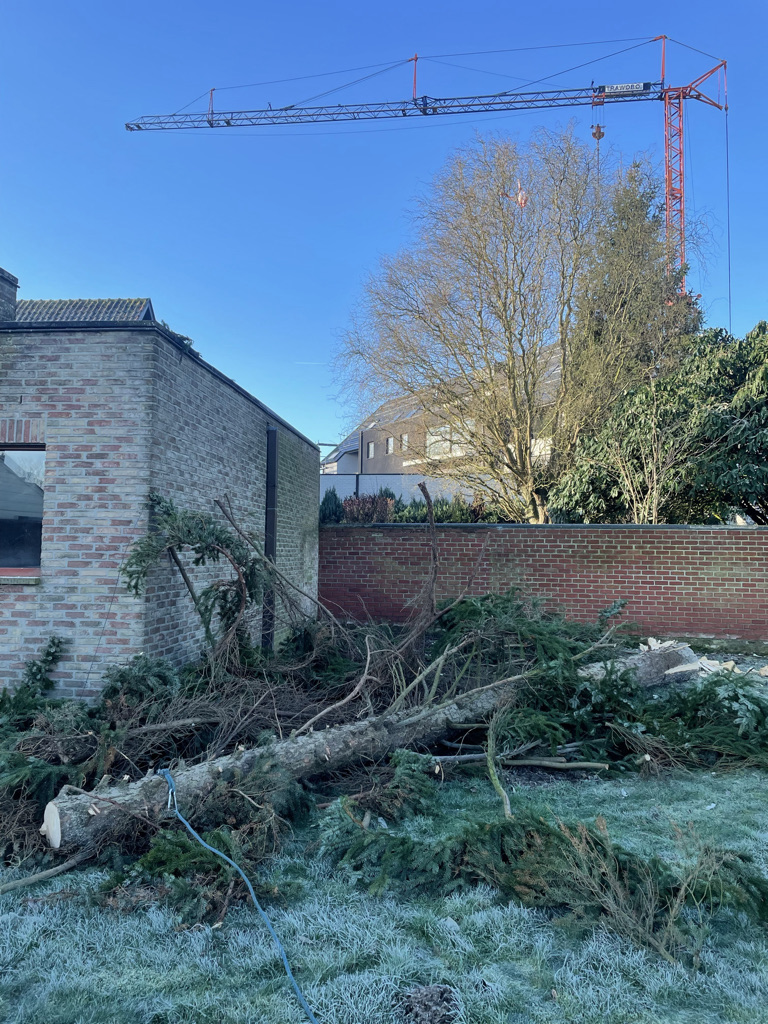 vellen boom wegens stormschade