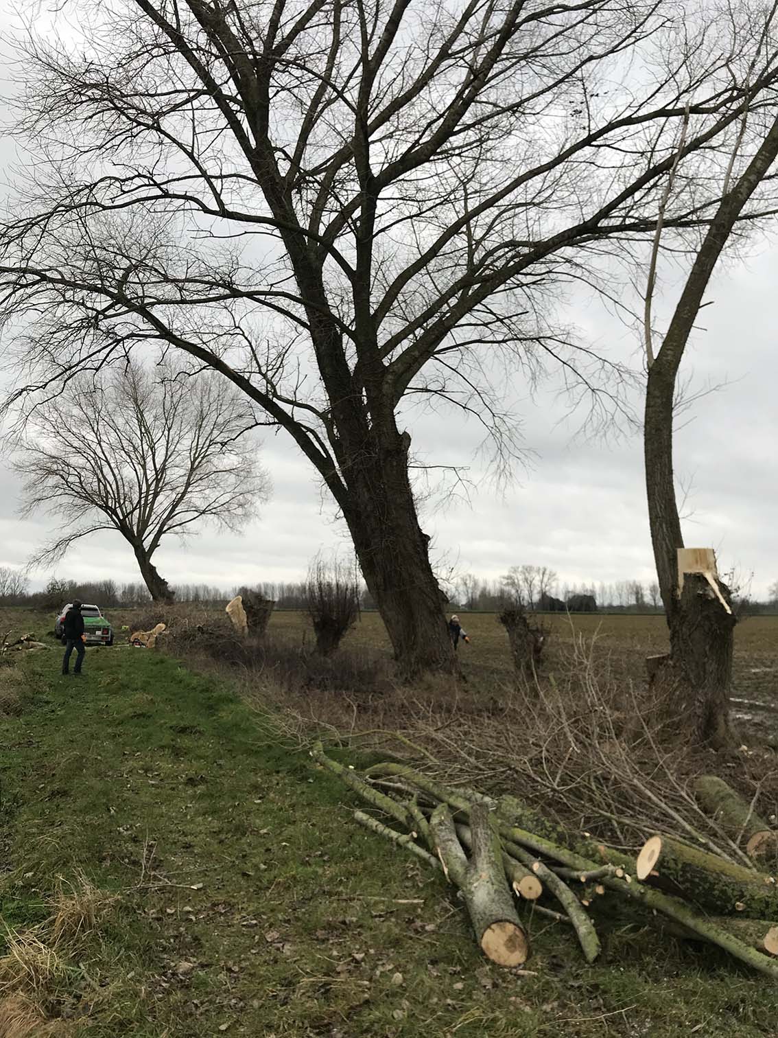 vellen bomen, opkuisen landgoed