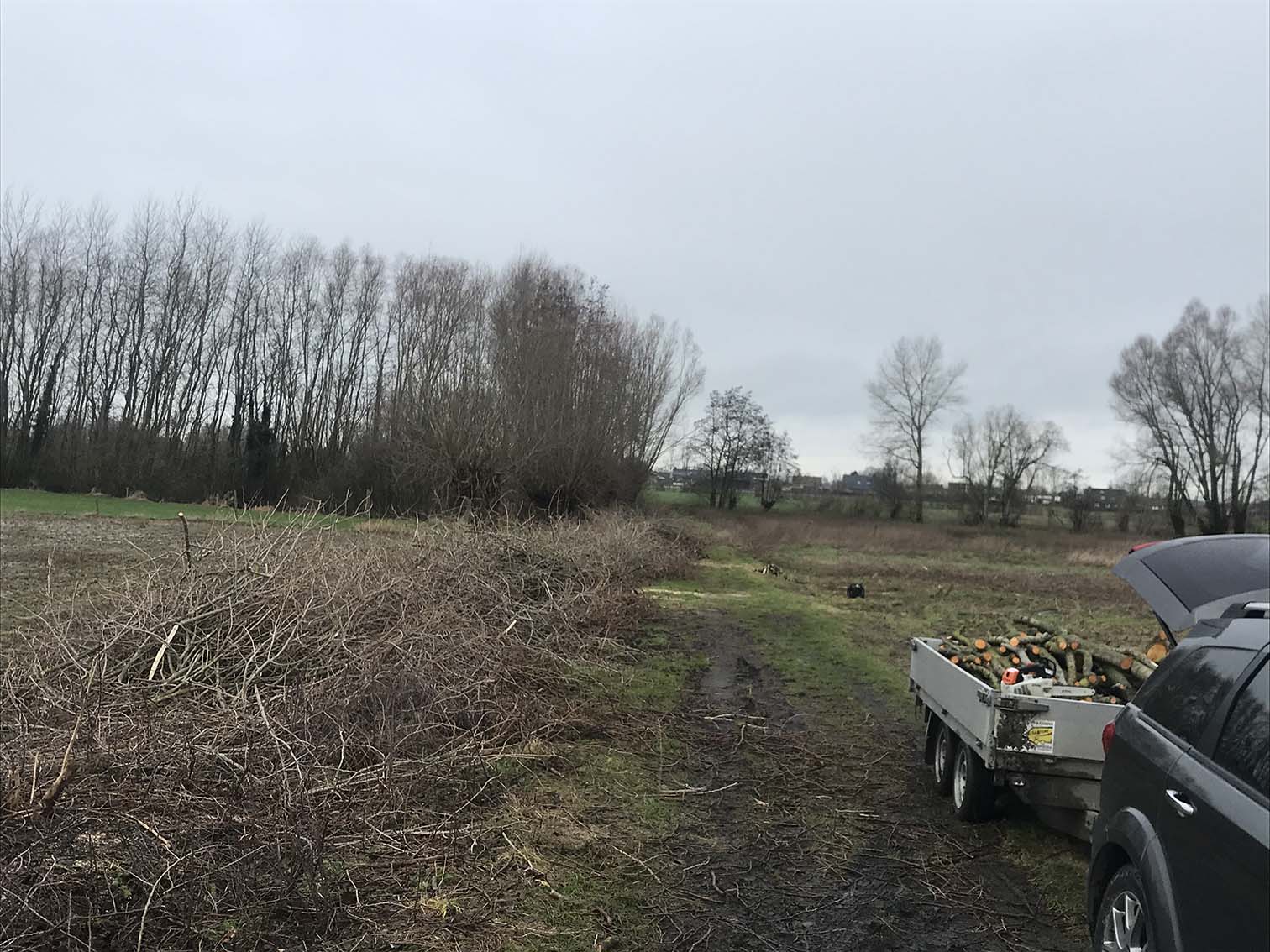 vellen bomen, opkuisen landgoed