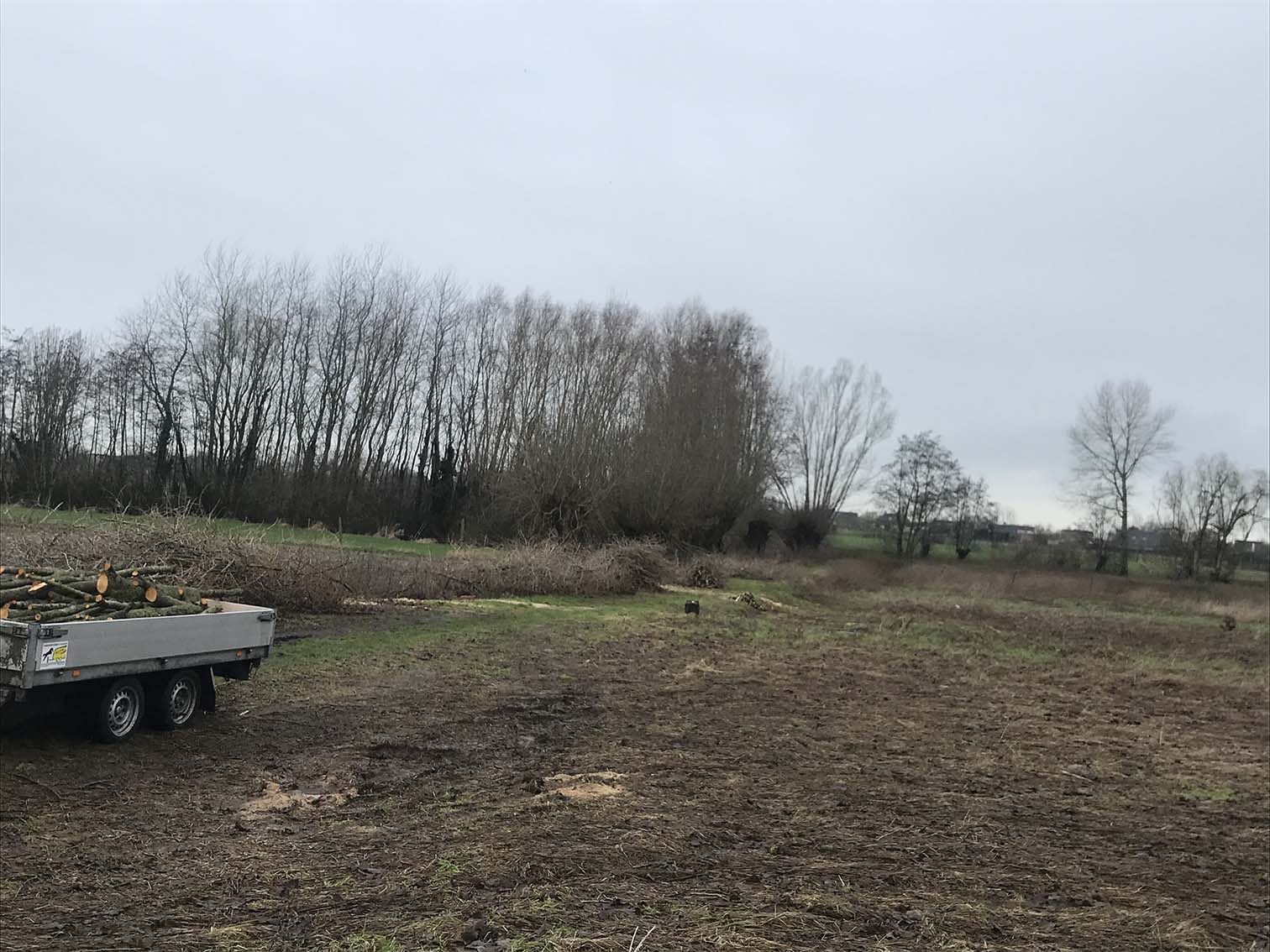 vellen bomen, opkuisen landgoed