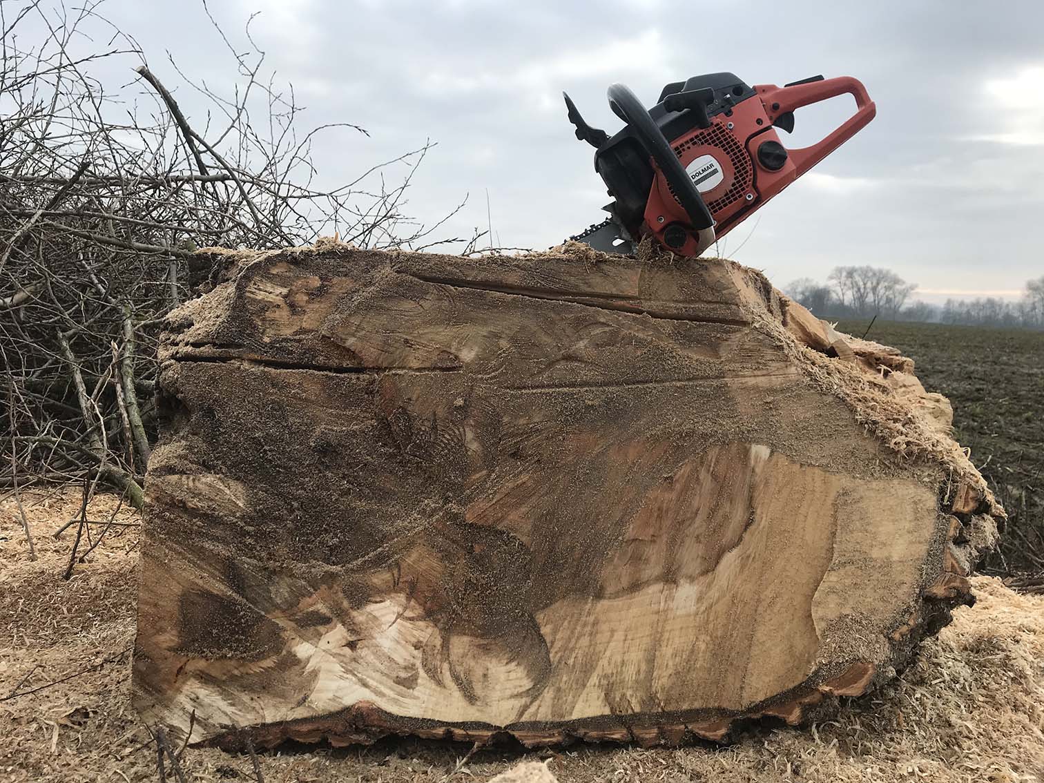 vellen bomen, opkuisen landgoed