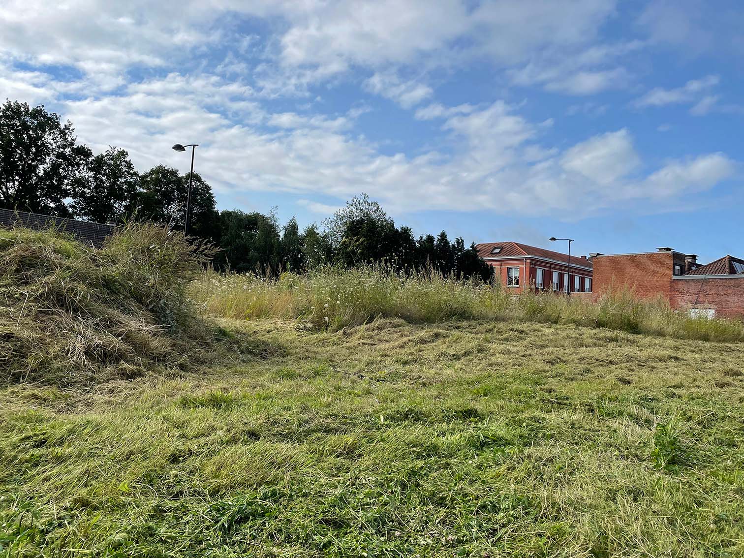 opkuisen van bouwgrond